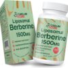 Liposomal Berberine HCL - Berberine 1500mg Activates AMPK & GLP-1, High Bioavailability Berberines Supplement for Women and Men, Berberine Plus Overall Health Support (1 Pack)